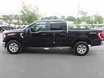 2023 Ford F-150 SuperCrew Cab 4WD Pickup for sale #48660 - photo 6