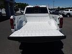 2020 Ram 1500 Quad Cab 4WD Pickup for sale #48715 - photo 9