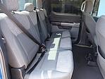 2023 Ford F-150 SuperCrew Cab 4WD Pickup for sale #48826 - photo 16