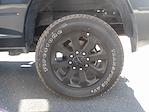 2025 Ram 2500 Crew Cab 4WD Pickup for sale #48850 - photo 9