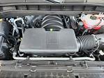 2025 GMC Sierra 1500 Crew Cab 4WD Pickup for sale #152934 - photo 22