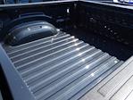 2025 Ram 1500 Crew Cab 4x4 Pickup for sale #33116 - photo 20