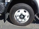2023 Isuzu NPR-HD Regular Cab 4x2 Cab Chassis for sale #33178 - photo 5