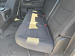 2024 Chevrolet Silverado 1500 Crew Cab 4x4 Pickup for sale #C44518A - photo 8