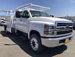 2023 Chevrolet Silverado 5500 Regular Cab DRW 4x2, Royal Truck Body Service Combo Body for sale #CV00698 - photo 13