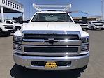 2023 Chevrolet Silverado 5500 Regular Cab DRW 4x2, Royal Truck Body Service Combo Body for sale #CV00698 - photo 17