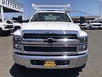 2023 Chevrolet Silverado 5500 Crew Cab DRW 4x2, Scelzi CTFB Contractor Truck for sale #CV00918 - photo 19