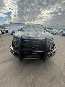 2024 Chevrolet Silverado 1500 Crew Cab 4x4 Pickup for sale #CV01091 - photo 1