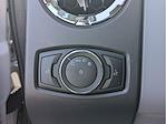 2025 Ford F-650 Crew Cab DRW 4x2 Stake Bed for sale #25F139 - photo 9