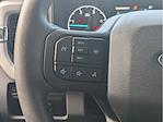 2025 Ford F-450 Crew Cab DRW 4WD Cab Chassis for sale #25F171 - photo 14