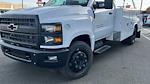 2024 Chevrolet Silverado 5500 Regular Cab DRW 2WD, Combo Body for sale #CC24528 - photo 4