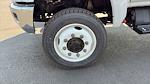 New 2024 Chevrolet Silverado 5500 Regular Cab 4WD 16' Wabash Box Truck for sale #CC2481 - photo 6