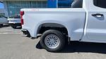 2024 Chevrolet Silverado 1500 Crew Cab 4WD Pickup for sale #FCC24899 - photo 3