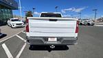 2024 Chevrolet Silverado 1500 Crew Cab 4WD Pickup for sale #FCC24899 - photo 15