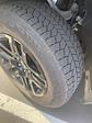 2024 Chevrolet Silverado 1500 Crew Cab 4WD Pickup for sale #GG25026B - photo 16