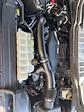 2021 Ford F-150 SuperCrew Cab 4WD Pickup for sale #GG25394B - photo 7
