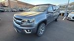 2019 Chevrolet Colorado Crew Cab 4WD Pickup for sale #PM3159 - photo 1