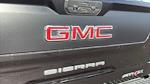 2024 GMC Sierra 1500 Crew Cab 4WD Pickup for sale #PM2946 - photo 17