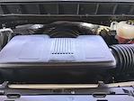 2024 Chevrolet Silverado 1500 Regular Cab RWD Pickup for sale #11371 - photo 27