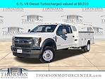 2019 Ford F-550 Crew Cab DRW 4WD Service Truck for sale #11407 - photo 1