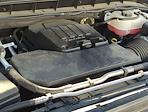 2024 GMC Sierra 1500 Regular Cab 4x2 Pickup for sale #56067A - photo 18