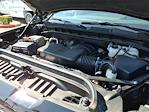 2024 GMC Sierra 1500 Crew Cab 4WD Pickup for sale #2831 - photo 18