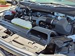 2024 Ford F-150 Super Cab 4x2 Pickup for sale #43129A - photo 17