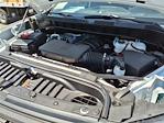 2024 Chevrolet Silverado 1500 Regular Cab 4x2 Pickup for sale #2982 - photo 17