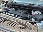 2025 Chevrolet Silverado 1500 Regular Cab 4x2 Pickup for sale #69618A - photo 15