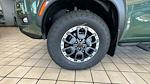 2025 Nissan Frontier Crew Cab 4x4 Pickup for sale #25N232 - photo 9