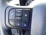New 2024 Ford F-550 XL Crew Cab 4x4 Cab Chassis for sale #D1321 - photo 14