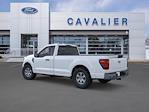 2025 Ford F-150 Regular Cab 4x2 Pickup for sale #DM211 - photo 2