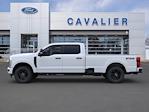 2025 Ford F-350 Crew Cab SRW 4x4 Pickup for sale #DM216 - photo 4