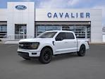 2025 Ford F-150 SuperCrew Cab 4x4 Pickup for sale #DM228 - photo 1