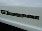 New 2024 Ford F-550 XL Regular Cab 4WD Cab Chassis for sale #G241547 - photo 28