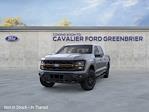 New 2025 Ford F-150 Tremor SuperCrew Cab 4WD Pickup for sale #G251235 - photo 3