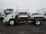 New 2024 Chevrolet LCF 5500XG Regular Cab 4x2 Cab Chassis for sale #24485 - photo 3