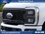 2024 Ford F-350 Crew Cab SRW 4x4 Pickup for sale #7Z0191 - photo 18