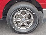 2021 Ford F-150 SuperCrew Cab 4WD Pickup for sale #P2797 - photo 10