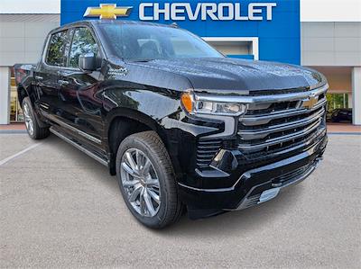 2025 Chevrolet Silverado 1500 Crew Cab 4x4 Pickup for sale #C250740 - photo 1