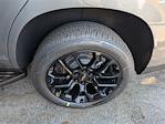 New 2026 Chevrolet Tahoe LS SUV for sale #C260412 - photo 6