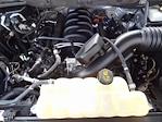 2021 Ford F-150 SuperCrew Cab 4WD Pickup for sale #MFA46754A - photo 42