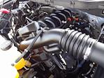 2021 Ford F-150 SuperCrew Cab 4WD Pickup for sale #MFA46754A - photo 43