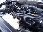 2022 Ford F-150 SuperCrew Cab 4WD Pickup for sale #NFB74276P - photo 40