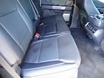 2023 Ford F-150 SuperCrew Cab 4WD Pickup for sale #PKE51303P - photo 10