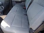 2024 Ford F-150 SuperCrew Cab 4WD Pickup for sale #RFA25707P - photo 19
