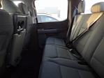 2025 Ford F-150 SuperCrew Cab 4WD Pickup for sale #SKE53103P - photo 11