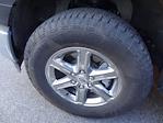 2025 Ford F-150 SuperCrew Cab 4WD Pickup for sale #SKE53103P - photo 16