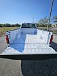 2024 Ford F-150 Regular Cab 4x2 Pickup for sale #242683 - photo 5