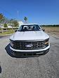 2024 Ford F-150 Regular Cab 4x2 Pickup for sale #242683 - photo 1